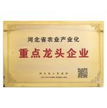 Notice on the Recognition of Key Leading Enterprises in Agricultural Industrialization in Hebei Province