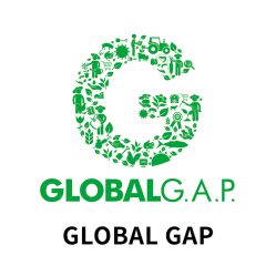 GLOBAL GAP