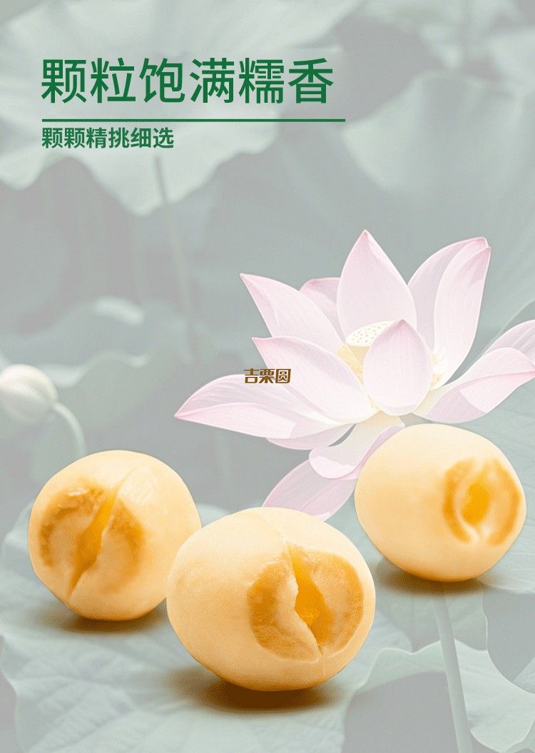 Llotus Seeds