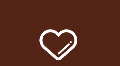 International advanced chestnut production lines